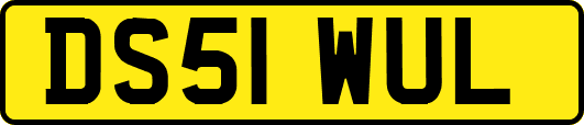 DS51WUL