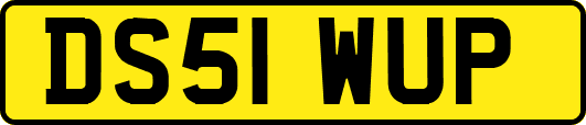DS51WUP