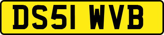 DS51WVB