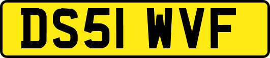 DS51WVF