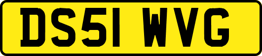 DS51WVG