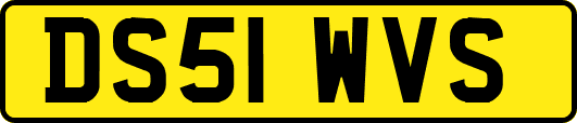 DS51WVS