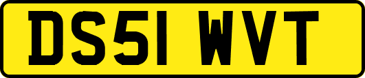 DS51WVT