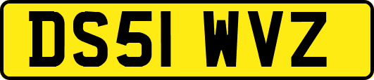 DS51WVZ