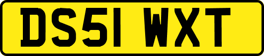 DS51WXT