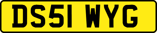 DS51WYG
