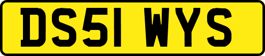 DS51WYS