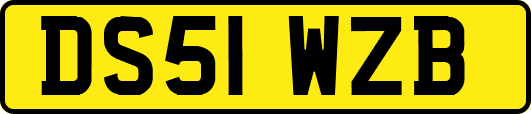 DS51WZB