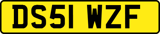 DS51WZF