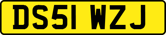 DS51WZJ