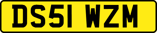 DS51WZM