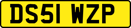 DS51WZP