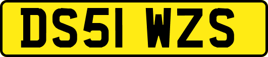 DS51WZS