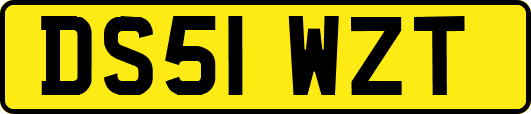 DS51WZT