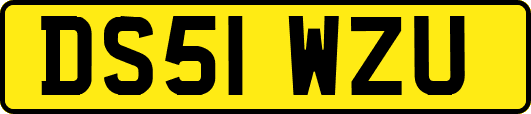 DS51WZU