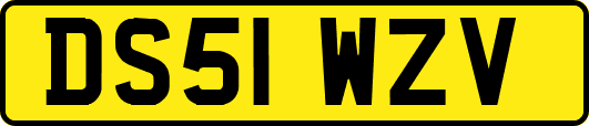 DS51WZV
