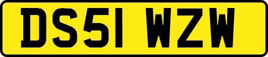 DS51WZW