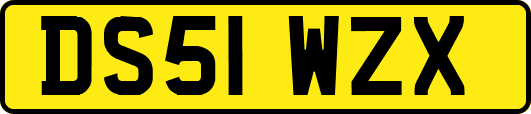 DS51WZX