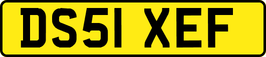 DS51XEF