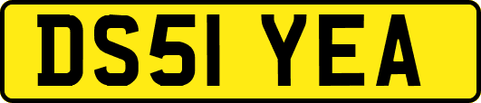DS51YEA