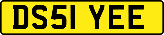 DS51YEE