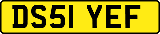 DS51YEF