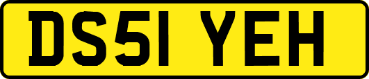 DS51YEH