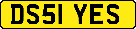 DS51YES