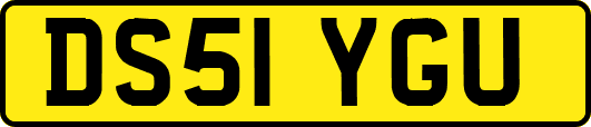 DS51YGU