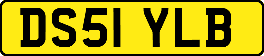 DS51YLB