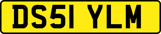 DS51YLM