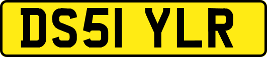 DS51YLR