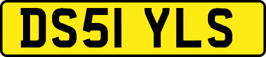 DS51YLS