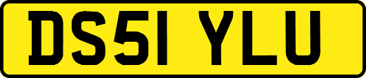 DS51YLU