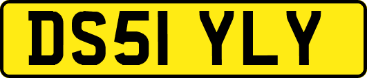 DS51YLY