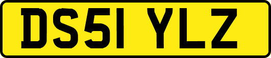 DS51YLZ
