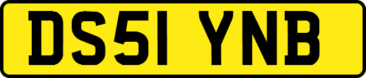 DS51YNB