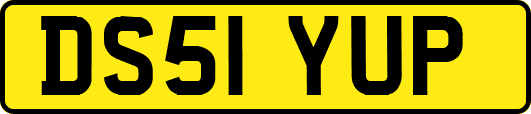 DS51YUP