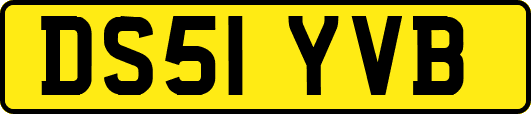 DS51YVB