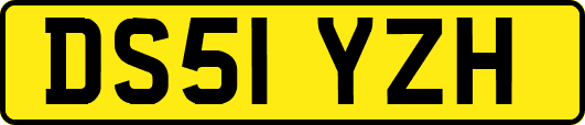 DS51YZH