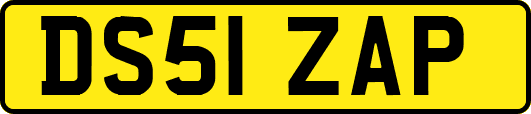 DS51ZAP
