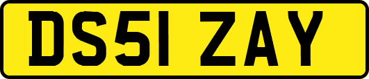 DS51ZAY