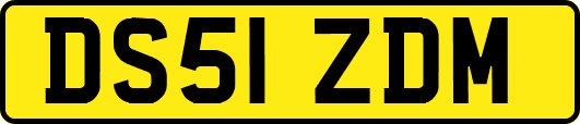 DS51ZDM