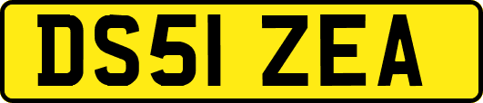 DS51ZEA