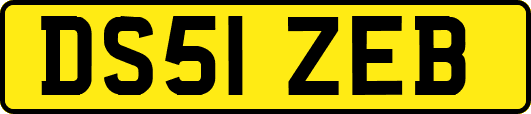 DS51ZEB