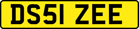 DS51ZEE