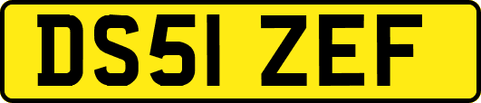 DS51ZEF
