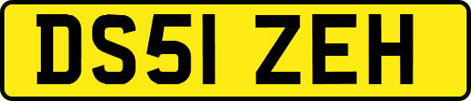 DS51ZEH