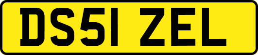DS51ZEL