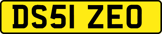DS51ZEO